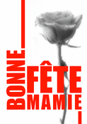 Belle rose pour une mamie ch&eacute;rie
